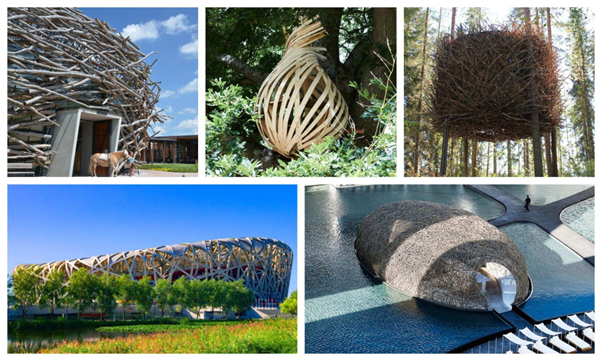 5 Nest-shaped buildings that defy the limits of architecture