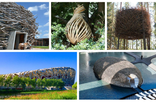 5 Nest-shaped buildings that defy the limits of architecture